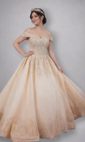 Vestidos Mod. A6763 Talla 14