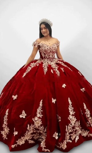 Mod. 2494VN Talla 16